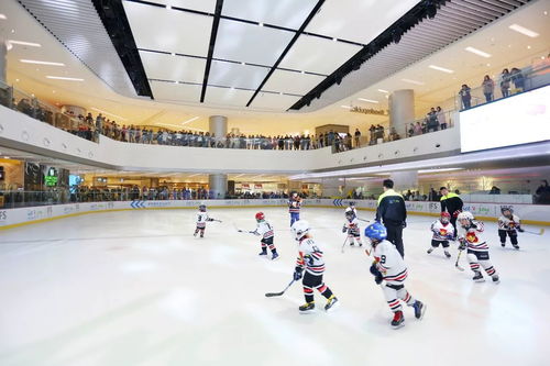 冬日陽光下的時(shí)髦心事 運(yùn)動(dòng)項(xiàng)目經(jīng)營(yíng)者的城事隨想